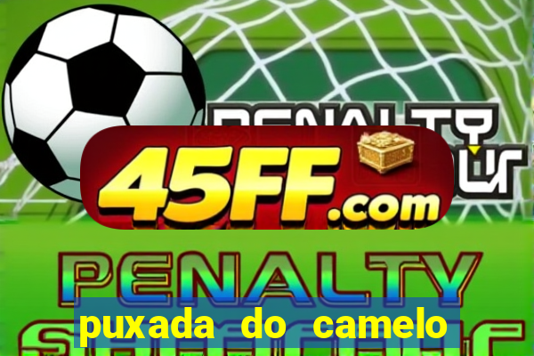 puxada do camelo jogo do bicho